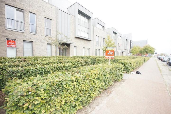 Verkocht andere - Geel