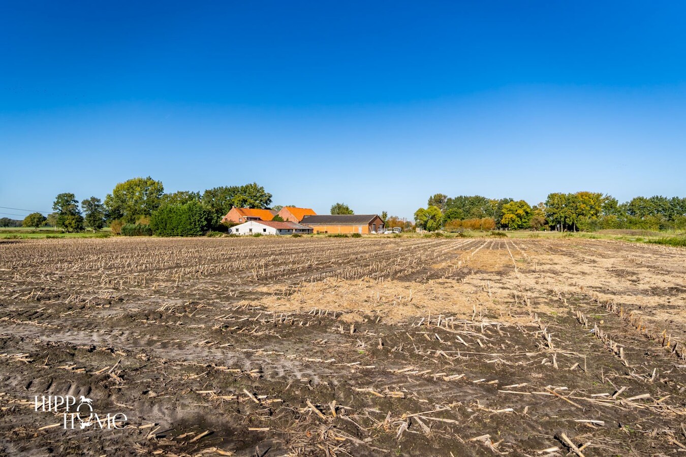 Hedendaags woning met hangar en aanpalend grasland op +/- 1,5ha 