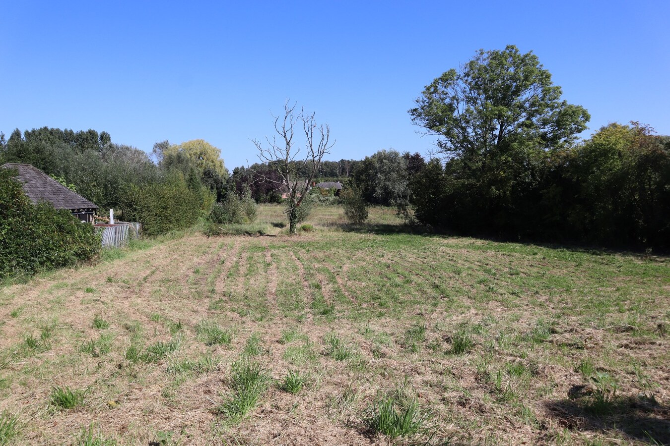 Bouwgrond Handelspand + Eengezinswoning 23 are 49 ca 