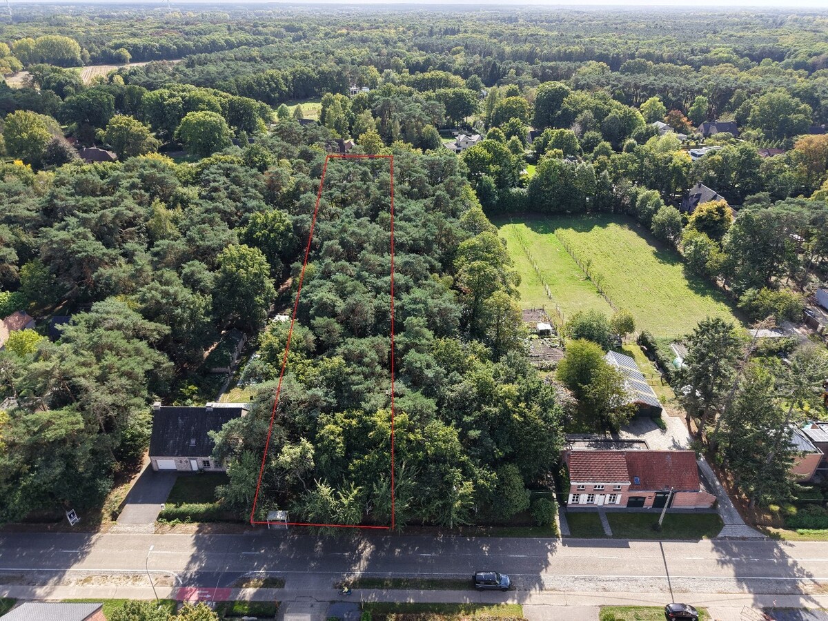 Ruim perceel bouwgrond van 2.709 m² met ideale zuidoriëntatie in Zoersel 