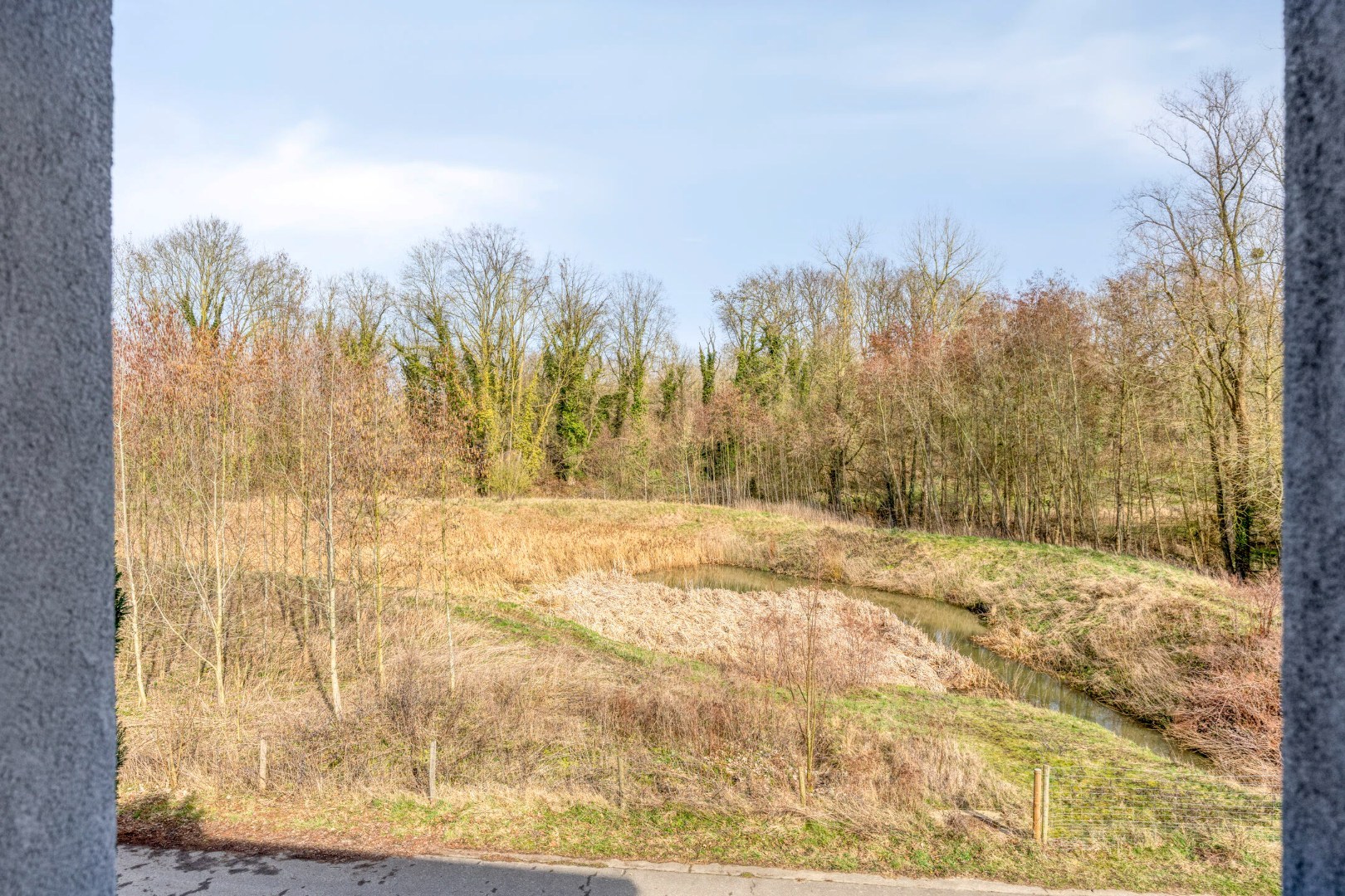 zicht op natuurgebied