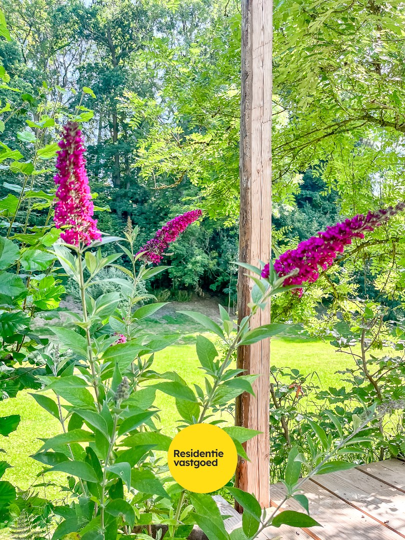 Gerenoveerde vakantiewoningen in het pittoreske Wibrin! 