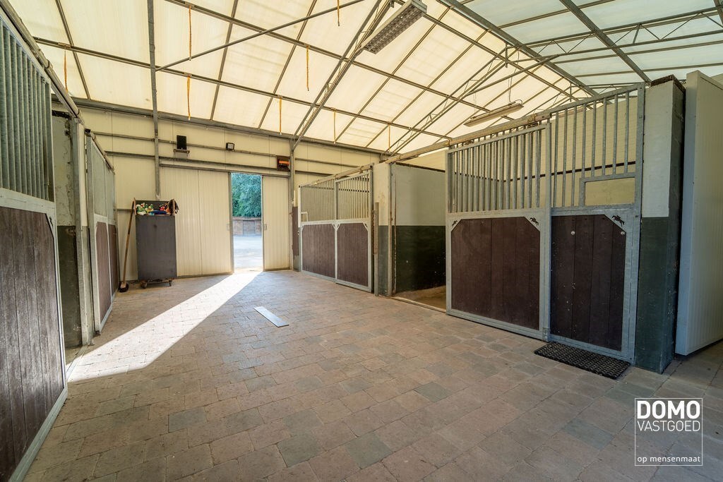 Ruime villa met paardenaccommodatie en wedstrijdstal gelegen te Herk-de-Stad - EPC-label: B - Bewoonbare vloeroppervlakte: 296m² 