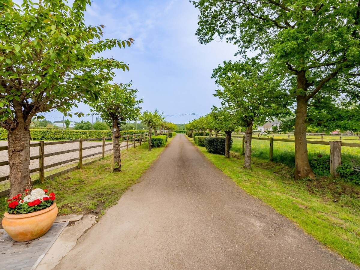 Prachtig hippische accomodatie op ca. 5,2 ha te Herselt 