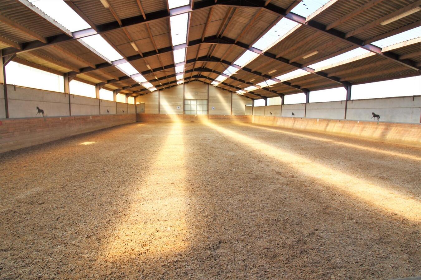 Maison avec centre équestre et appartement supplémentaire sur environ 1.3ha à Hannut (Liège) 