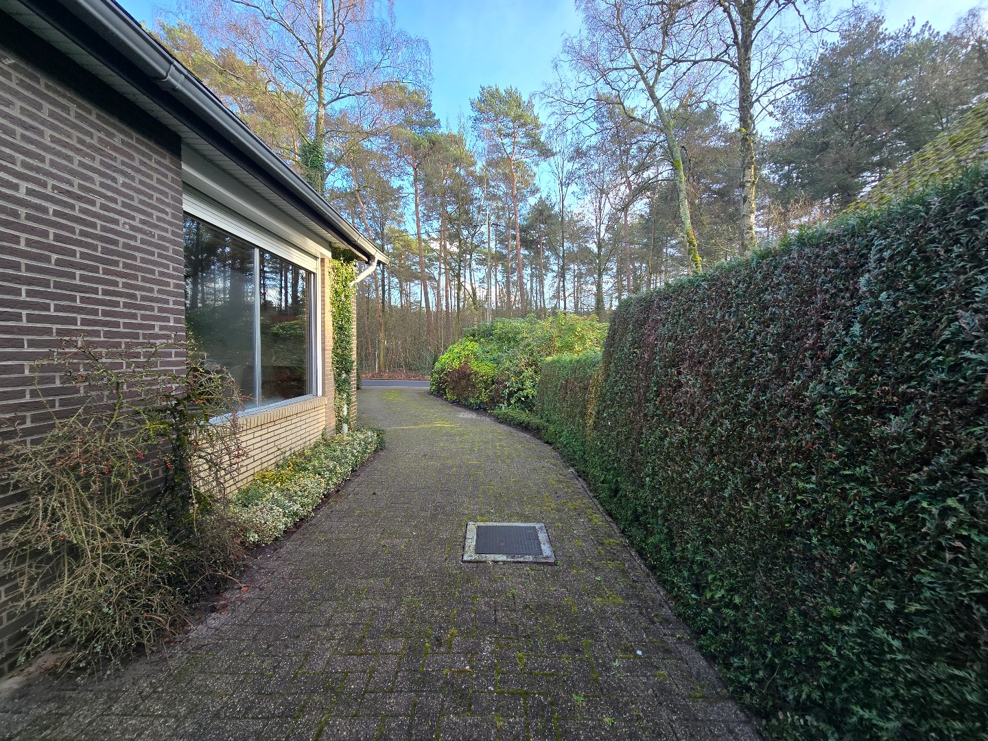 Charmante laagbouwvilla tegenover het Picardiebos in Schilde – renovatieproject met topligging 