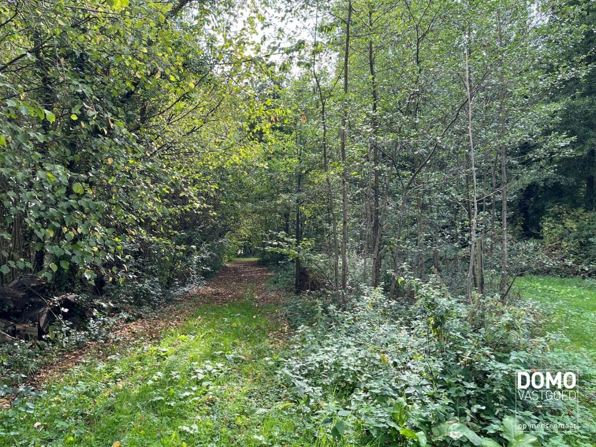 UNIEK DOMEIN MET OFF-GRID VAKANTIEWONING, SCHUUR EN 2 VIJVERS OP 1 HA 41 A 