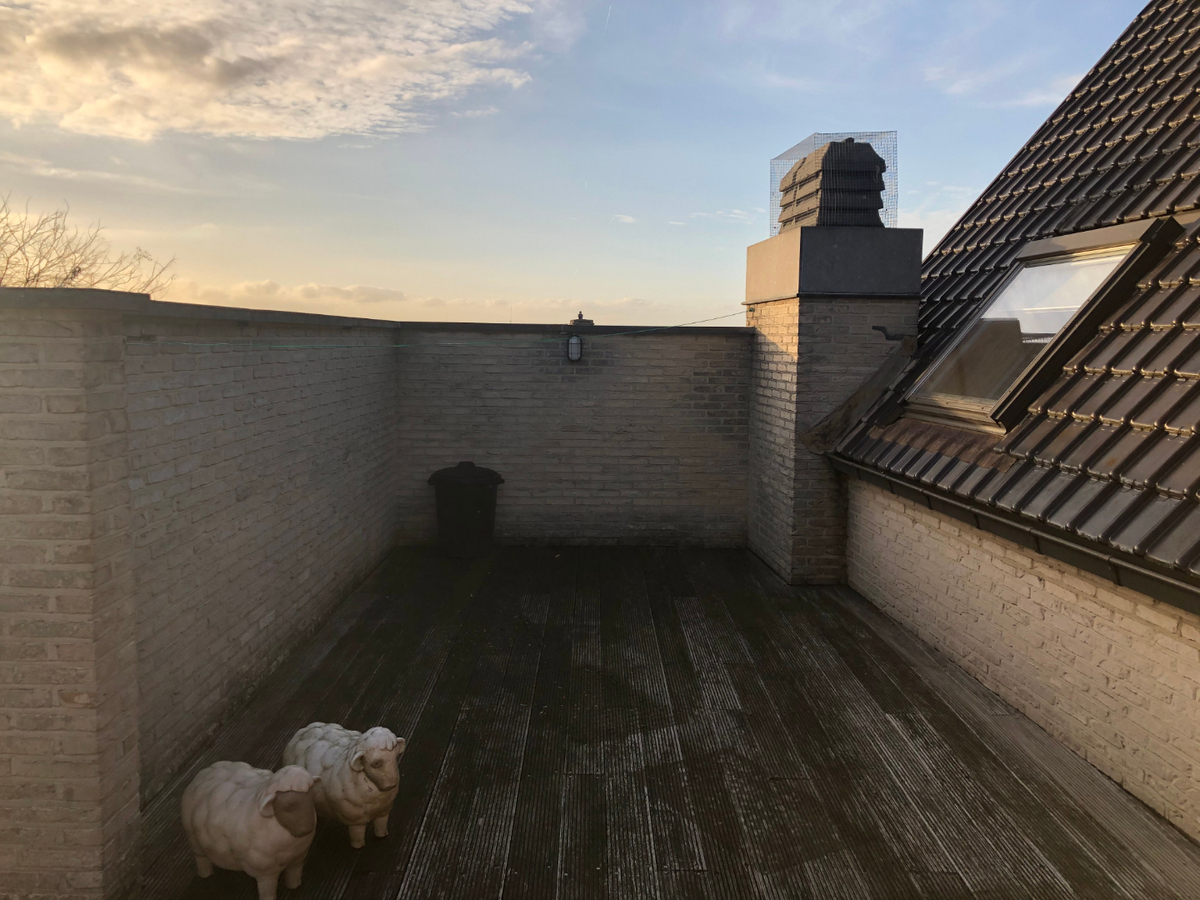 Tijdloos 1 slaapkamer appartement te centrum Gavere 