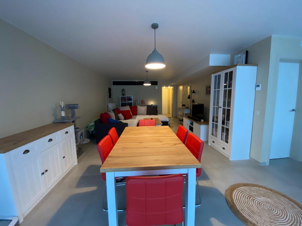 Geschilderd gelijkvloersappartement met 1 slaapkamer in een recent gebouw (2018) 