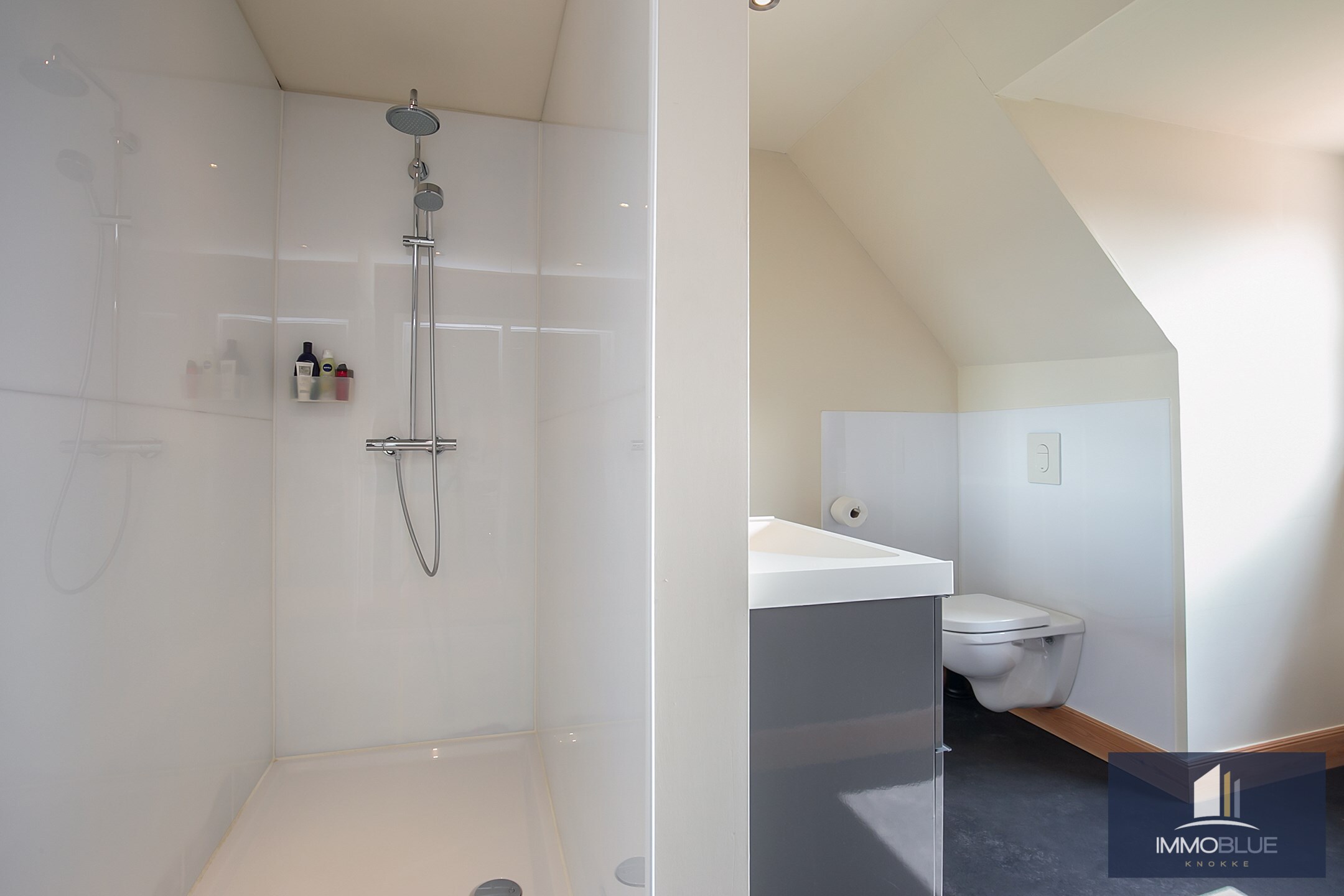 Maison de maître exclusive et élégante avec de grands espaces de vie. 