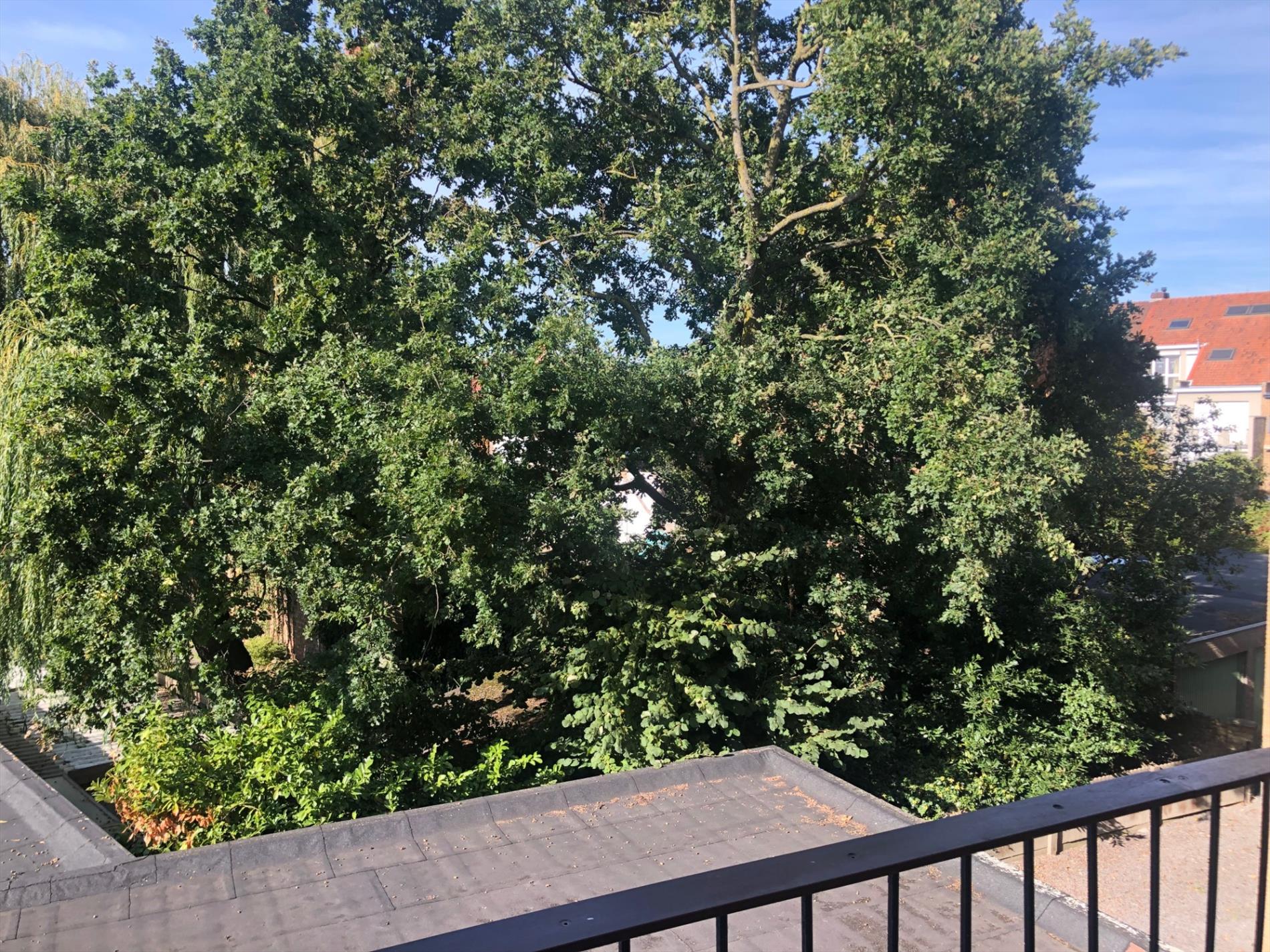 Lichtrijk appartement met 2 slaapkamers 