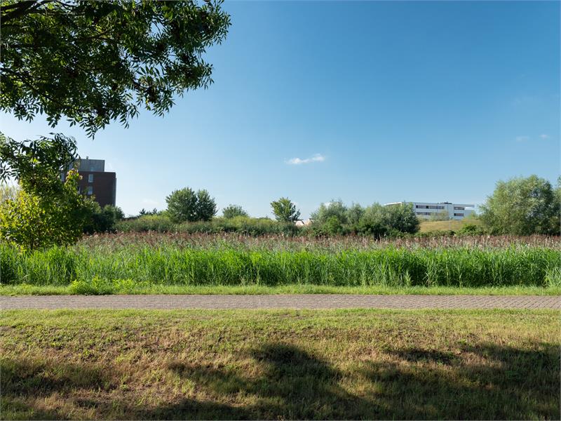 Parel van een appartement met unieke buitenruimtes in Sint-Amandsberg 