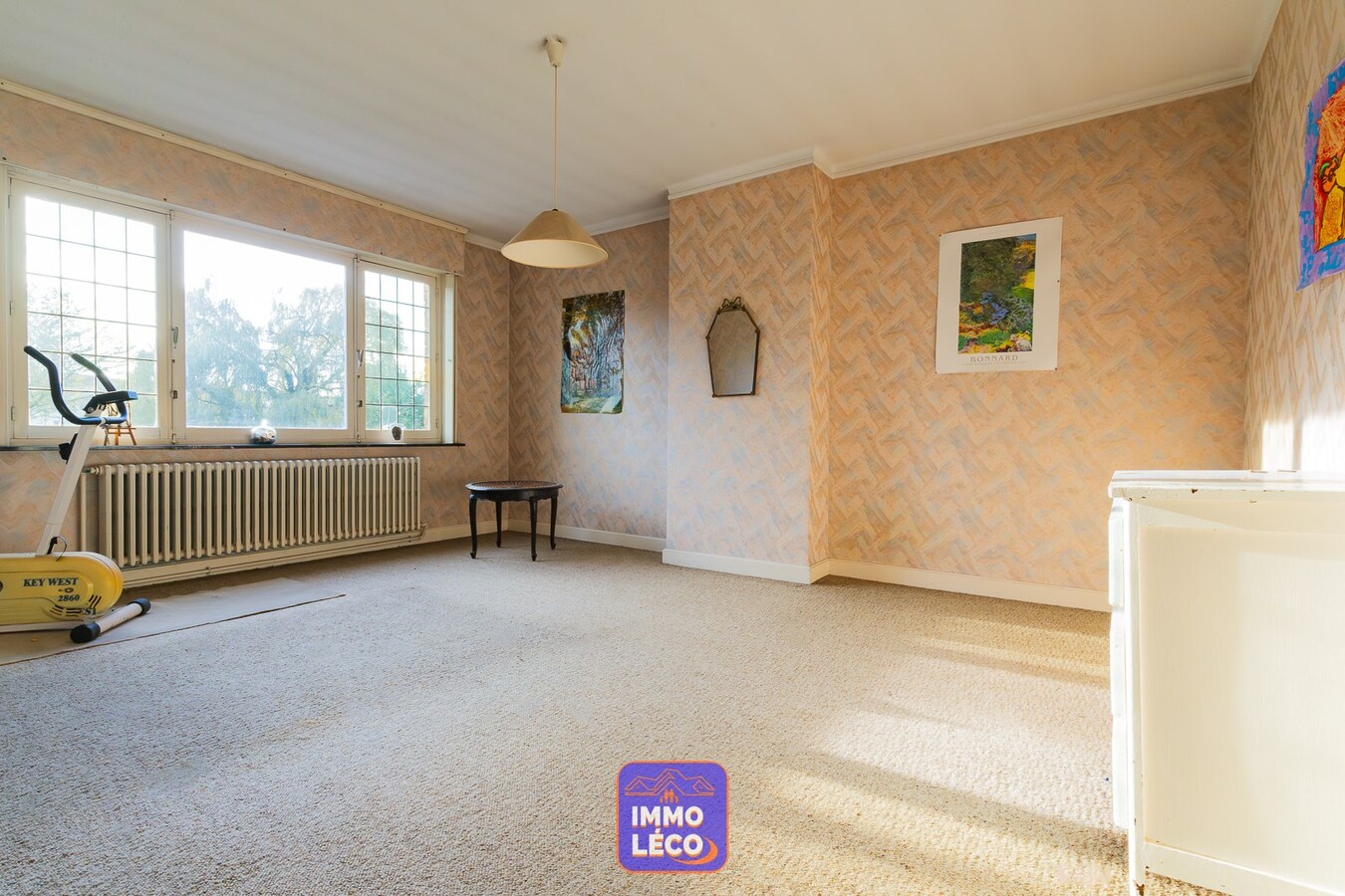 Maison Bourgeoise avec jardin et double garage, en face du Parc ! 