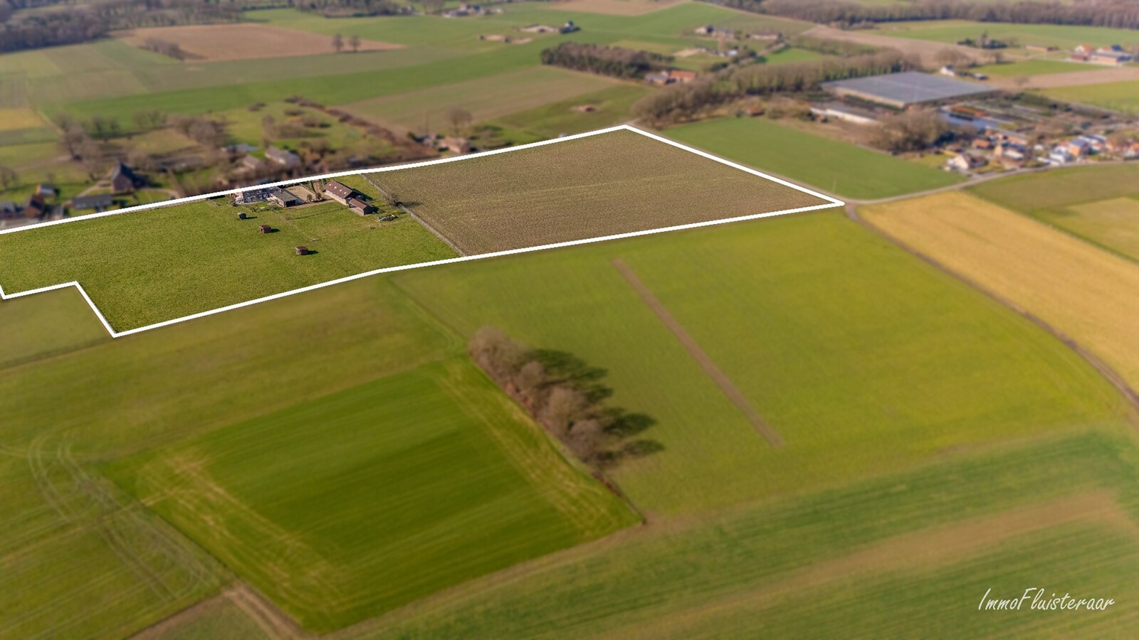 Woning met paardenstallen en buitenpiste op ca. 6,5ha te Bree 