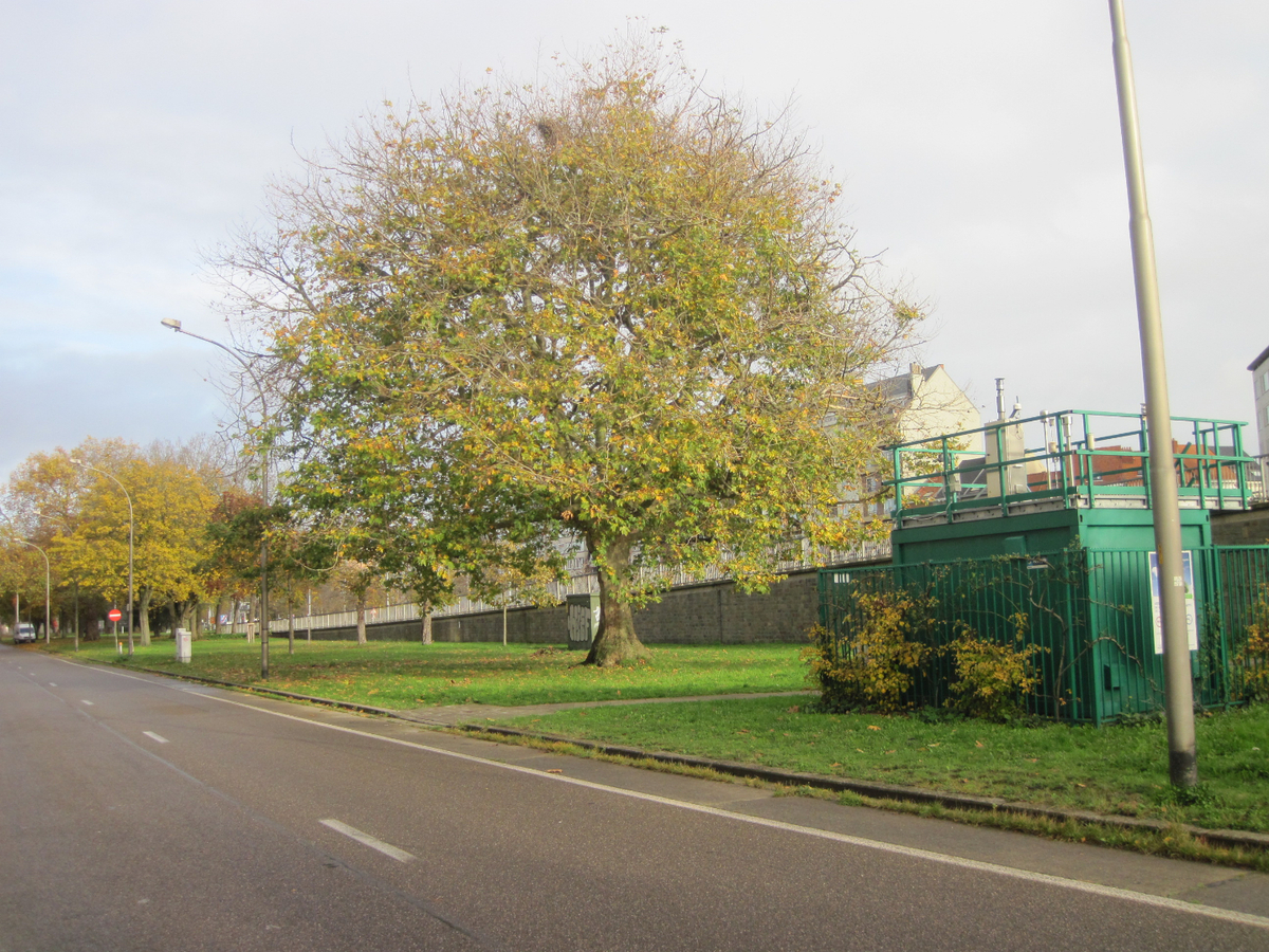 Gezellige duplex nabij 't Zuid. 