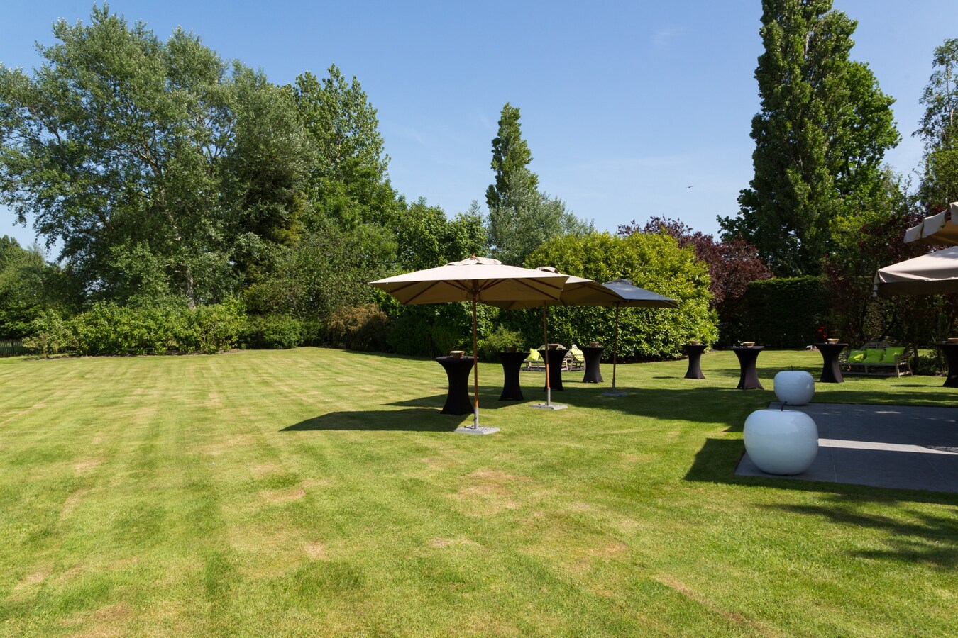 Multifunctioneel en prestigieus kasteeldomein "Kasteel van Saffelaere" 