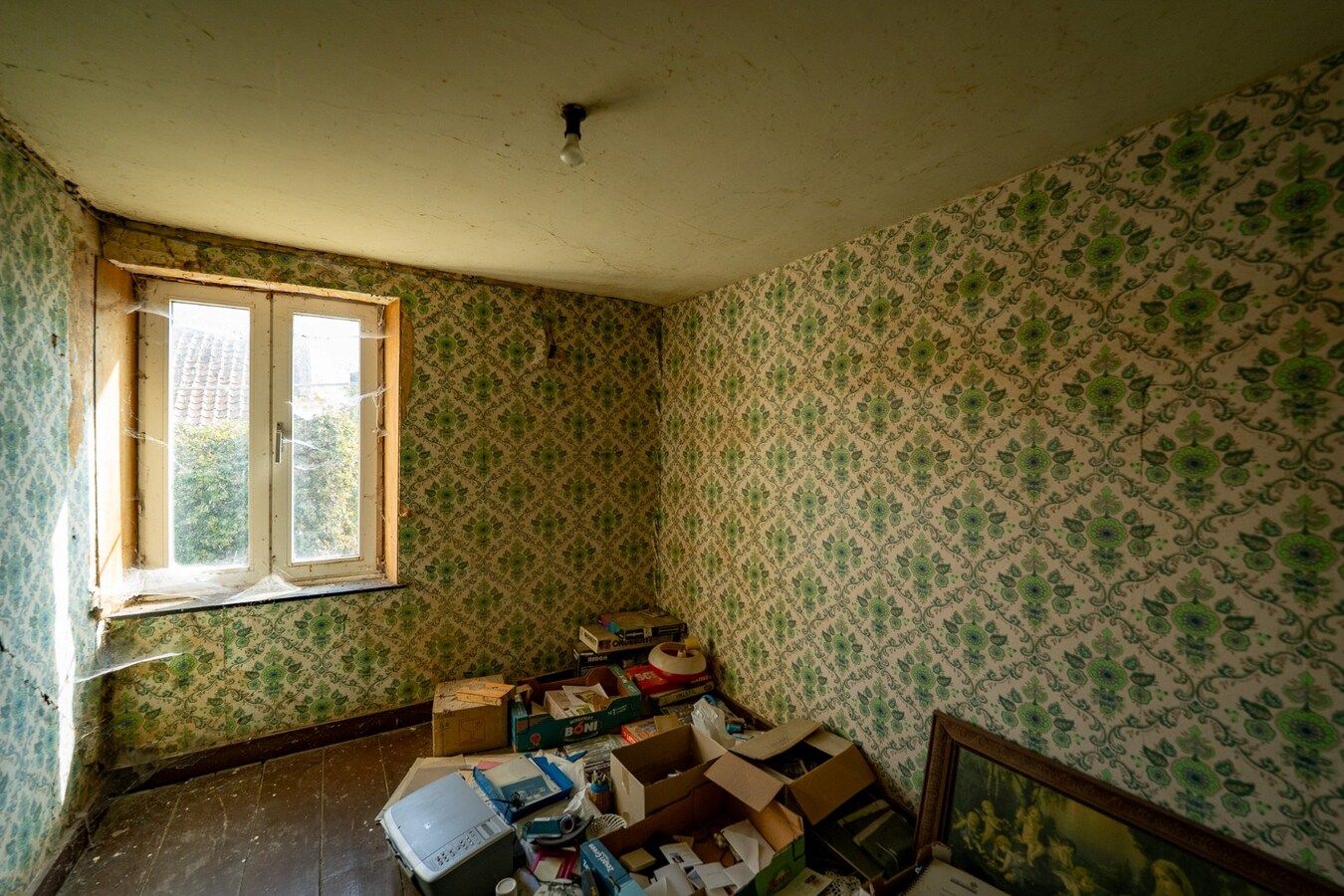 Hoeve met stalgebouwen op ca. 1ha te Bree 