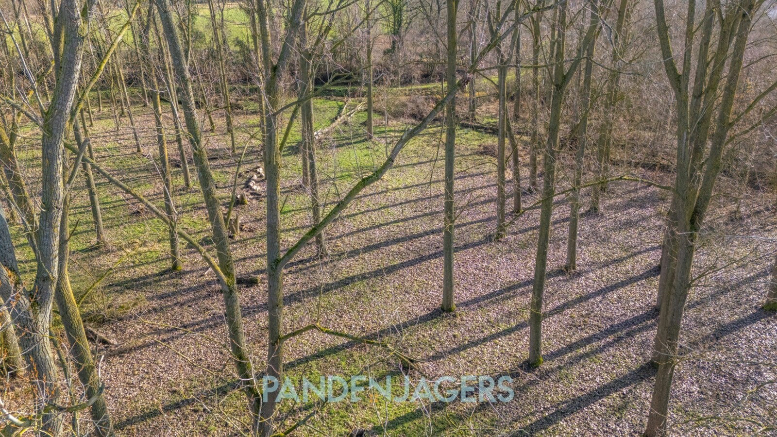 Uniek perceel weiland/bos van 10.110 m² te Battenbroek (Walem) 