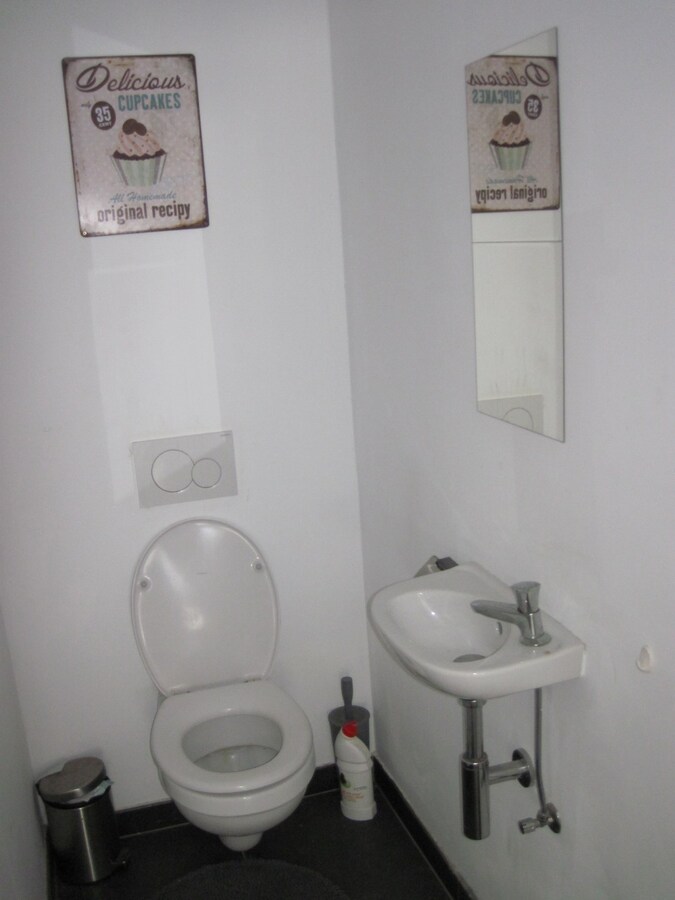 Lichtrijk appartement in Zingem 