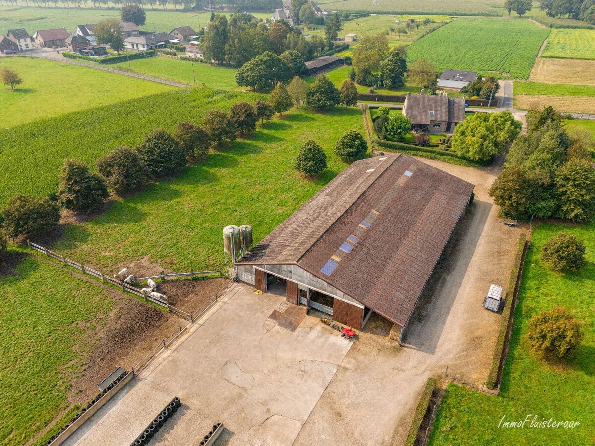 Prachtige villa met een ruim stalgebouw op ca. 2,2 ha te Dilsen-Stokkem 