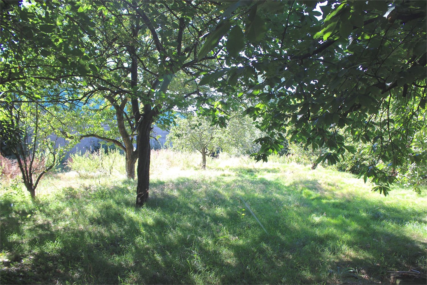 Woning verkocht in Hamme (9220)