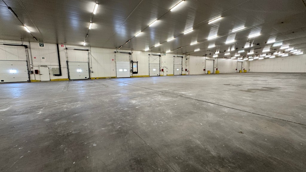 Loodsen te huur in haven van Antwerpen