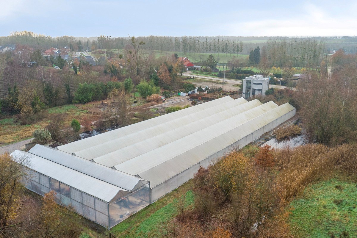 Tuinbouwcentrum met ruime woning op een perceel van 4,26 hectare 