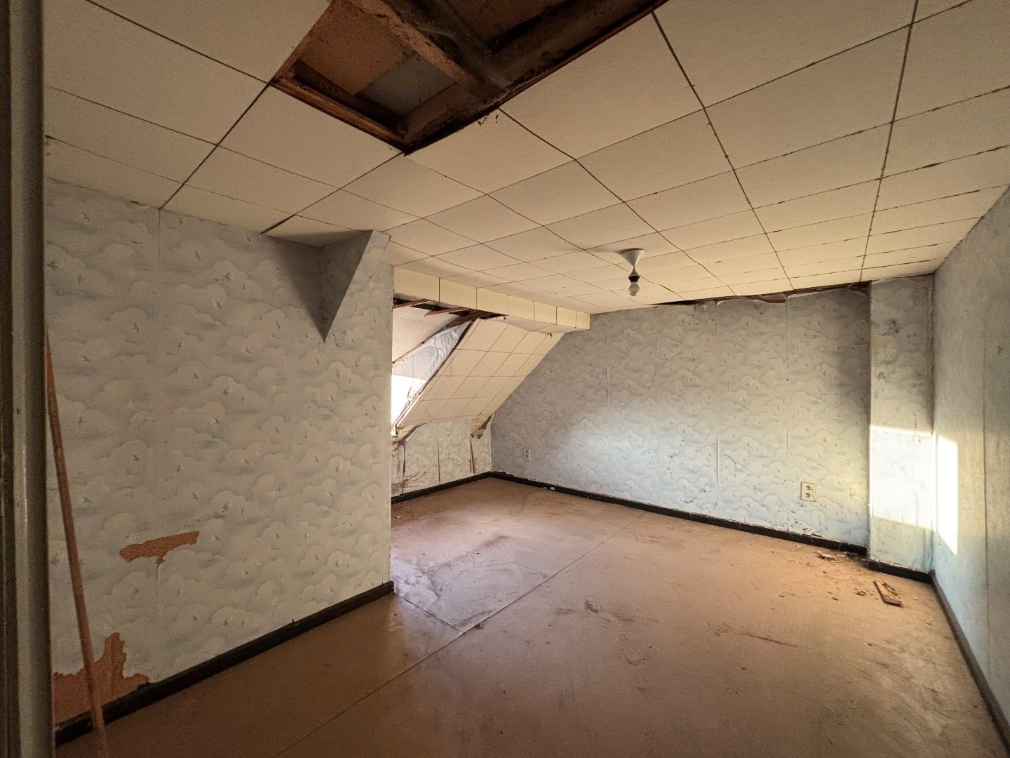 Te renoveren hoeve op 23a 16ca in een rustige omgeving te Mol 