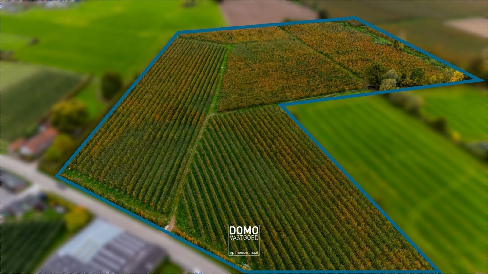 AGRARISCH GELEGEN PERCELEN BESTEMD ALS WEILAND EN BOOMGAARD TE KOOP IN HERK-DE-STAD 