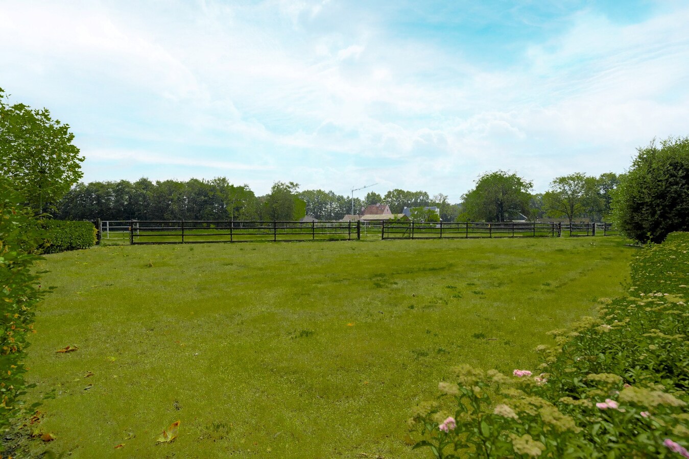 Prachtige paardenaccommodatie op ca. 3,2 ha te Wuustwezel 