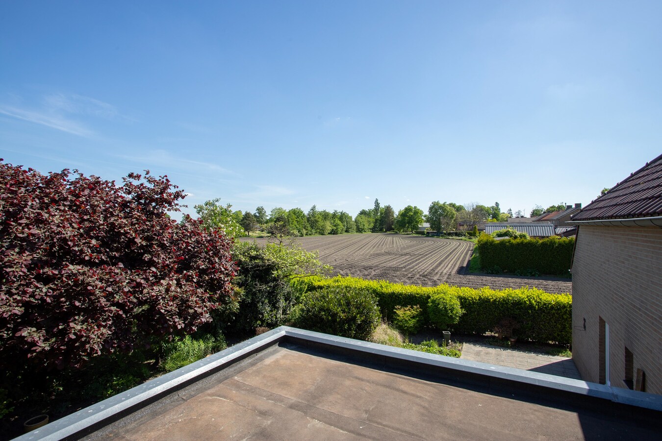 Vrijstaande woning met vrij uitzicht, slaapkamer en badkamer op de begane grond – levensloopbestendig én ruim! 