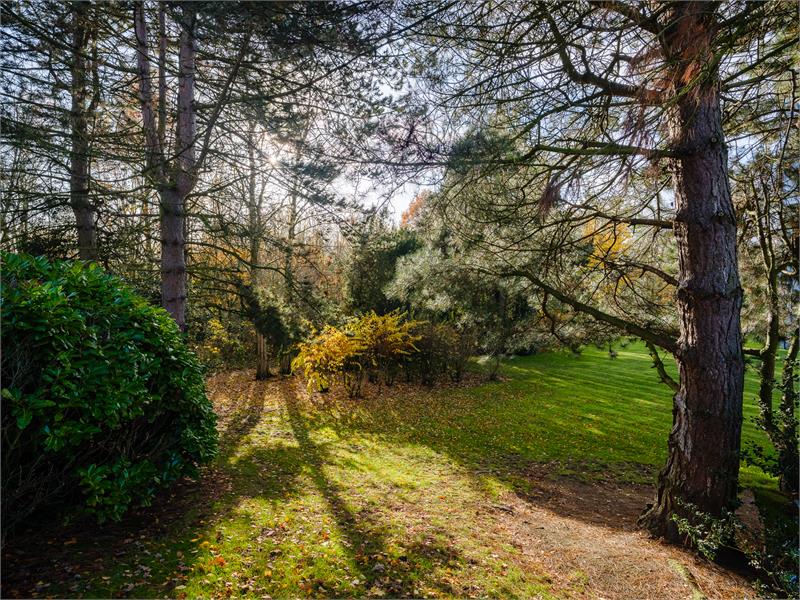 Appartement met open zicht 