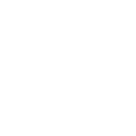 Sorgfältige Bewertung