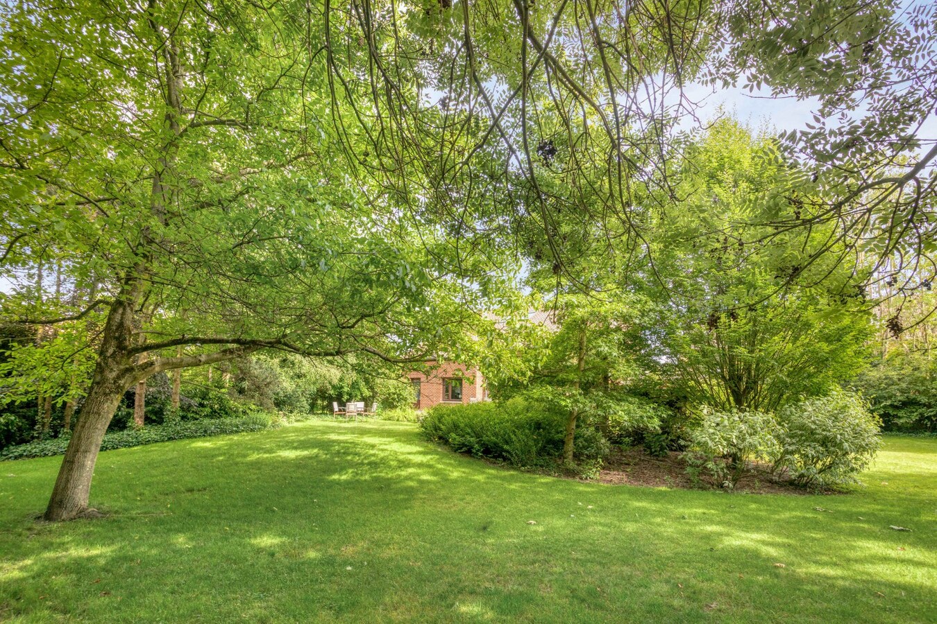 Te koop woning - Tongeren-Borgloon