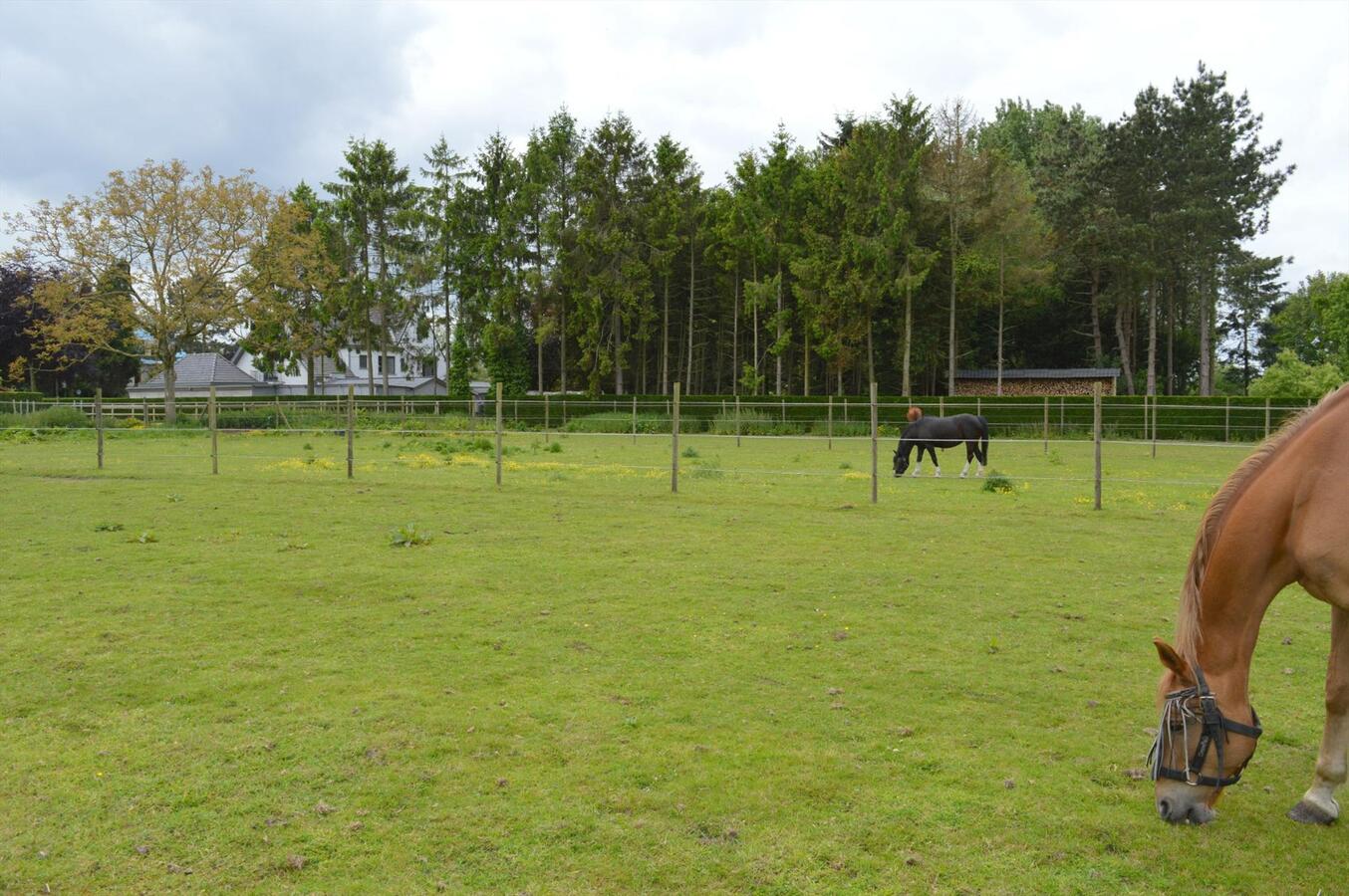 Ruime woning met stalgebouw op 6.723m² te Waarschoot 