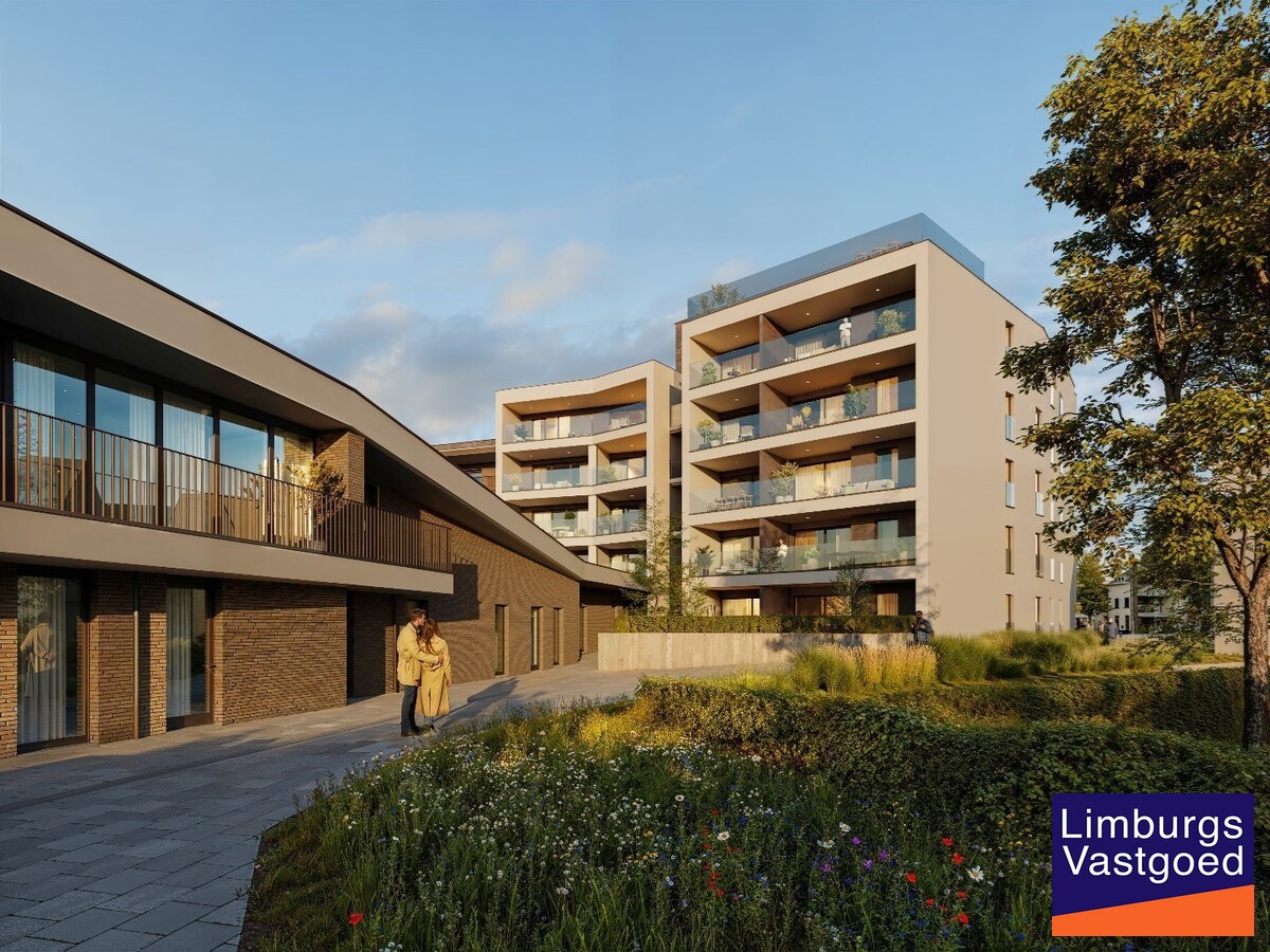 Casco Commercieel gelijkvloers met terras, 219 m², centrum Hasselt 