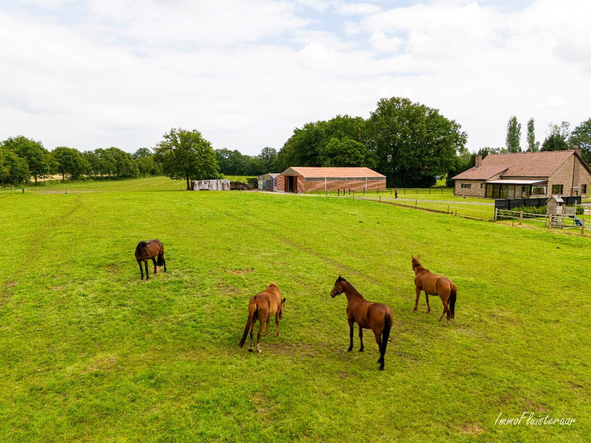 Maison spacieuse avec bâtiment d'écurie et prairies sur environ 3,8 hectares à Berlaar. 