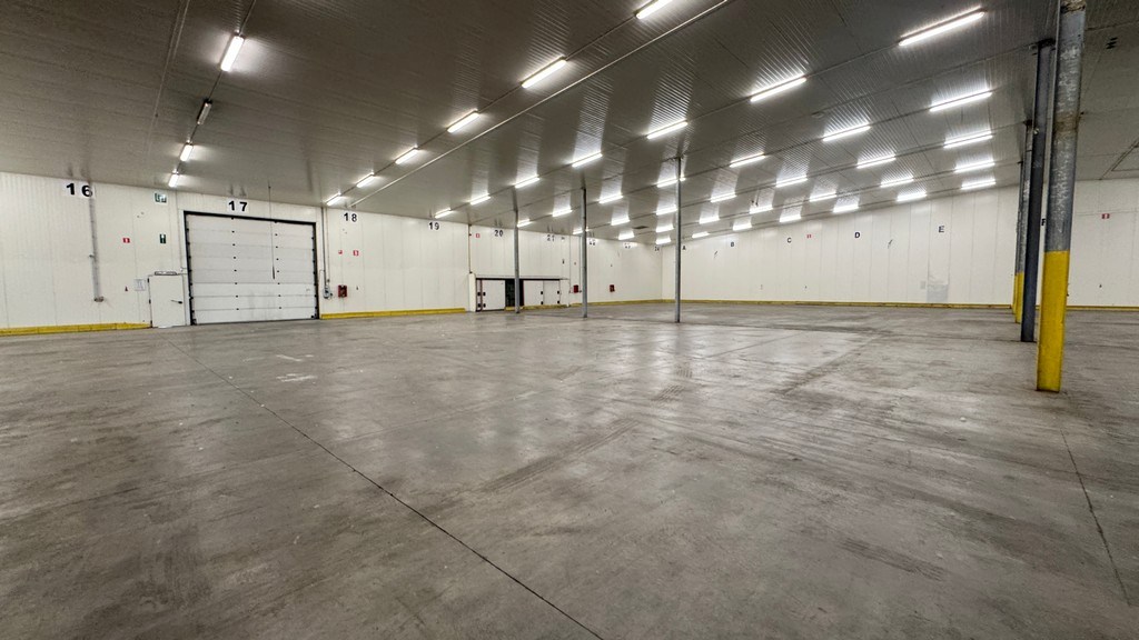 Loodsen te huur in haven van Antwerpen