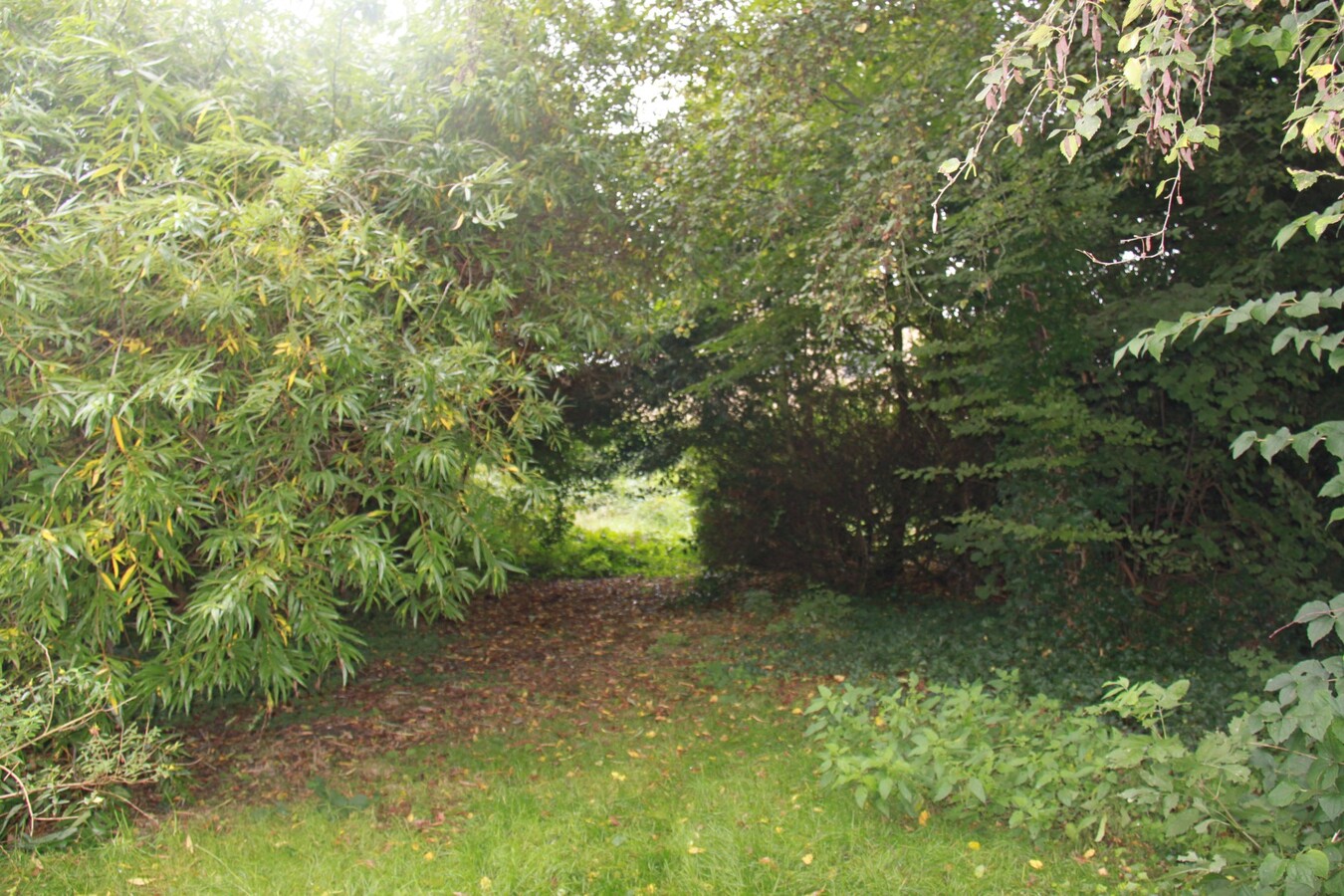 Beleggingsgrond of te renoveren woning 