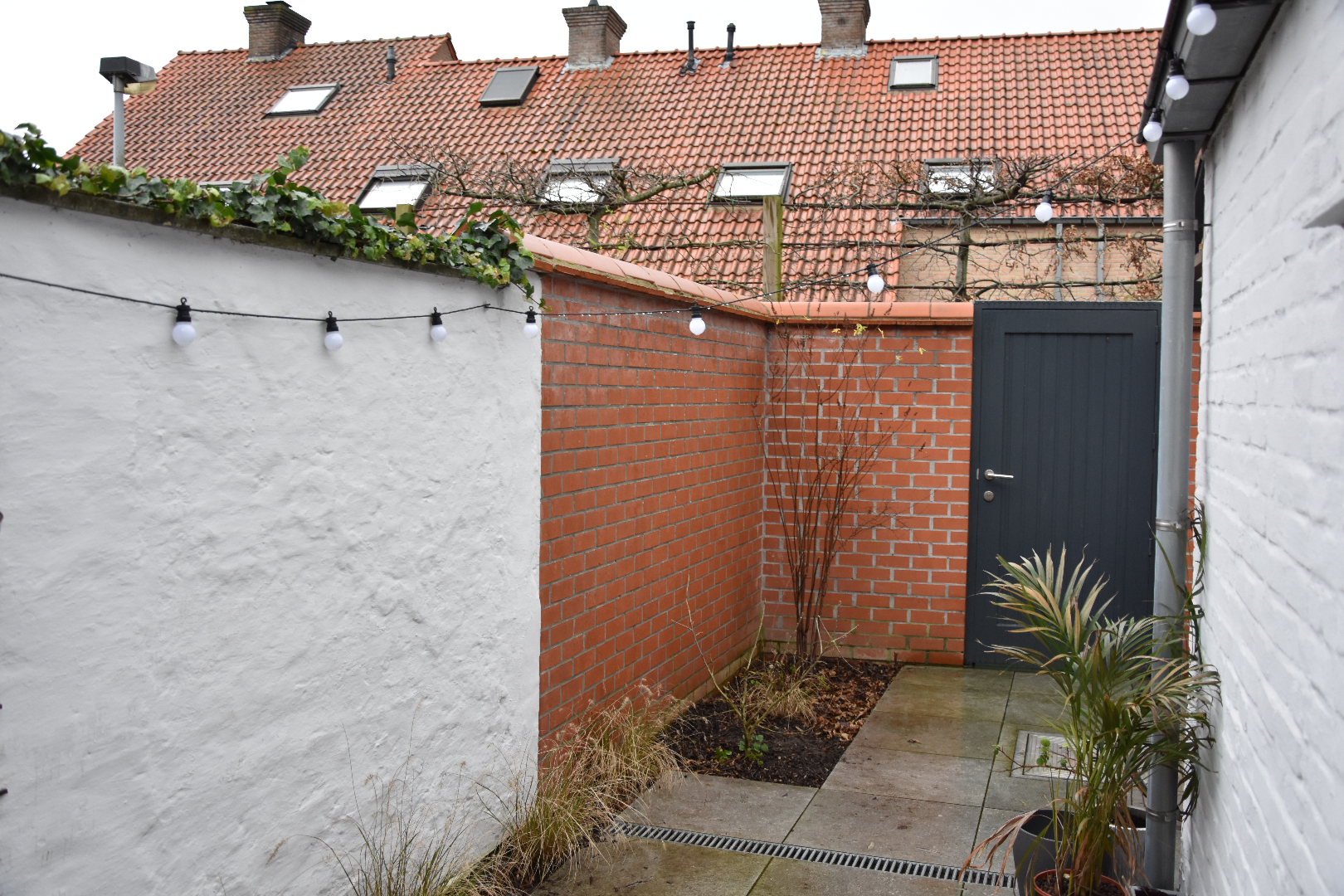 Gezellige, perfect instapklare woning 