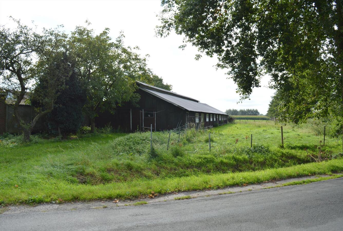 Te renoveren woning met loods en weide op 7.327m² te Zele 