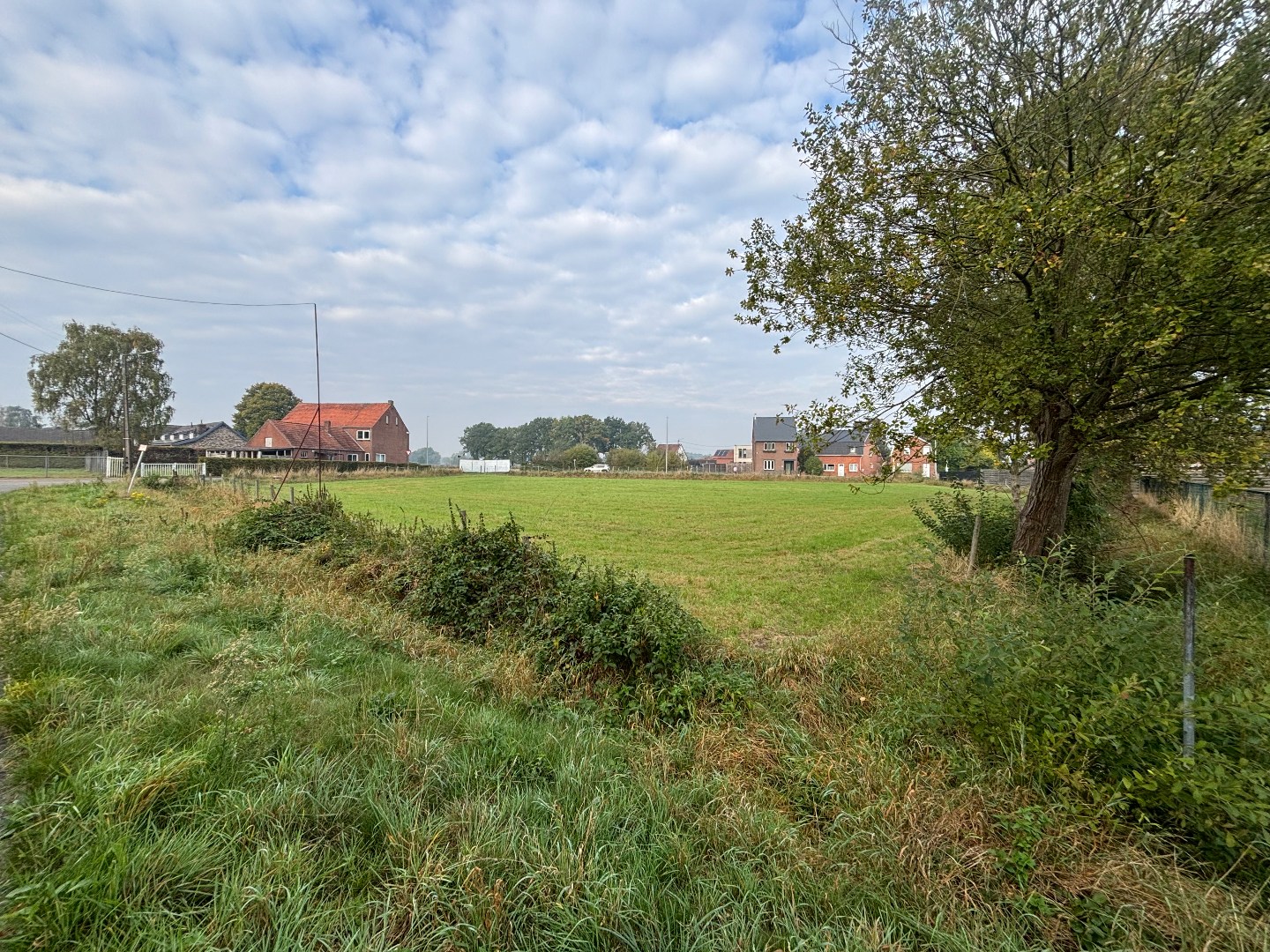 Investeringsgrond van 36a 30ca in Pelt 