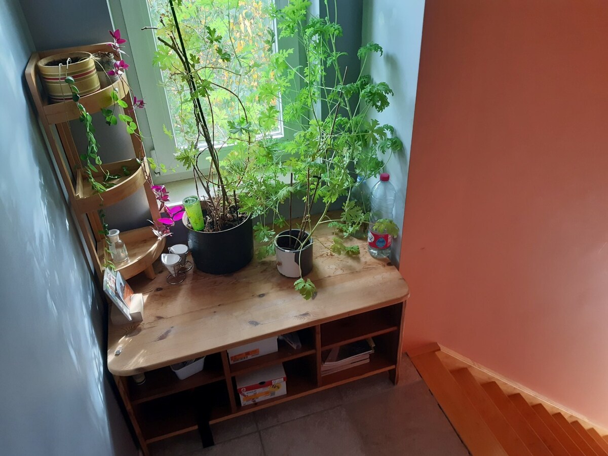 Aangename woning (Half Open). 