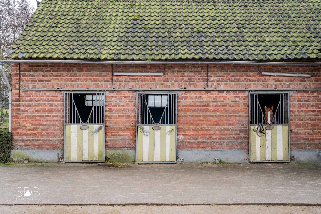 Landelijke woning met paardenaccommodatie en graslanden op 3ha 71a 90ca 
