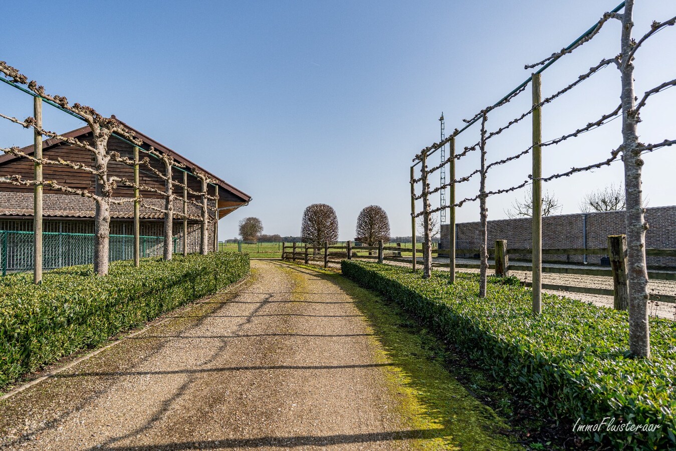 Woning met paardenstallen en buitenpiste op ca. 6,5ha te Bree 