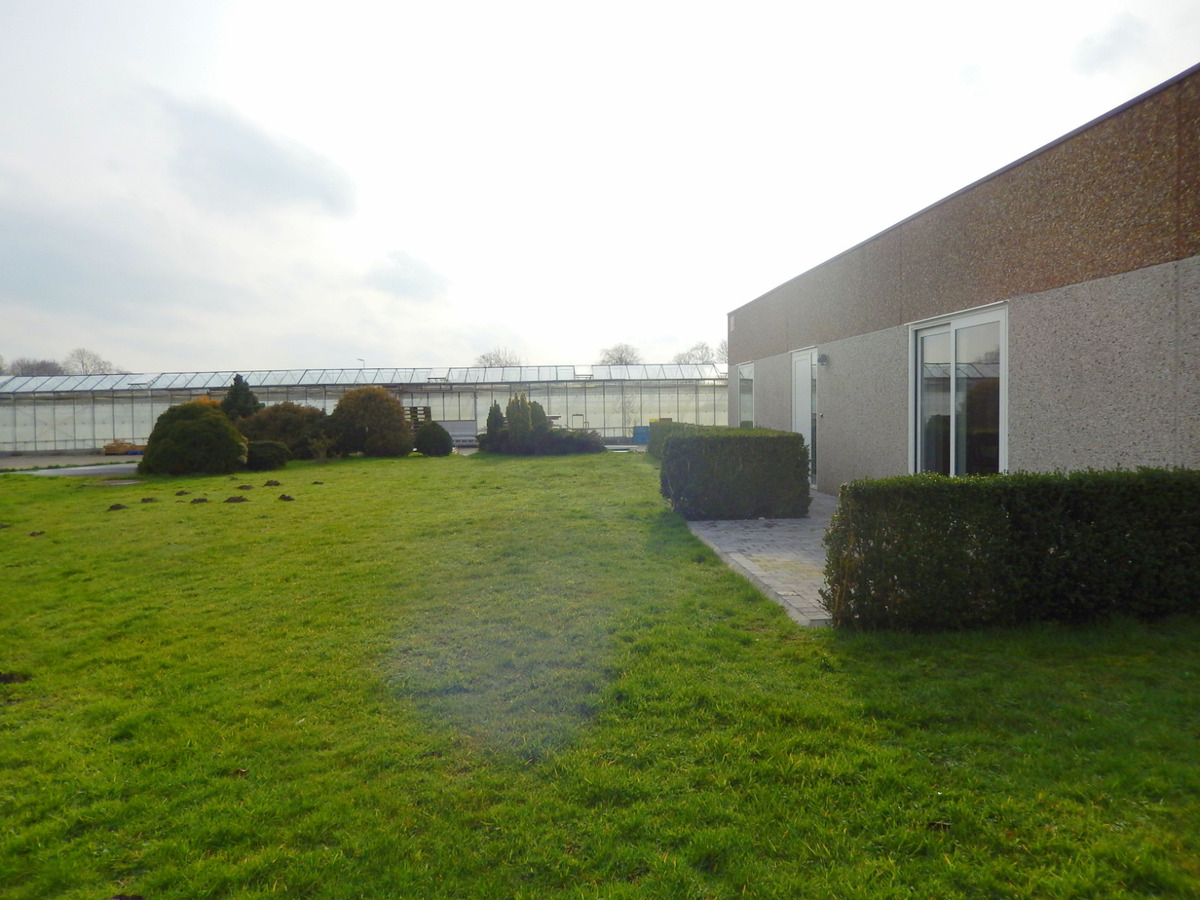 Vernieuwde en instapklare woning met 3 slaapkamers 