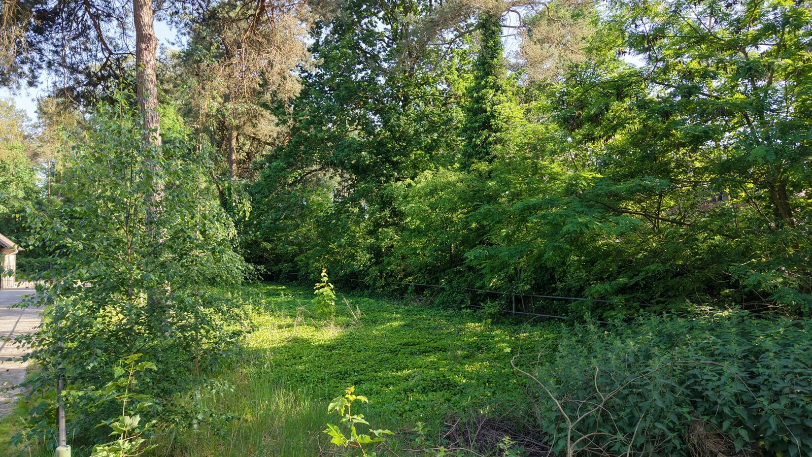 Bouwgrond voor woning van 1.220 m² te Schilde 