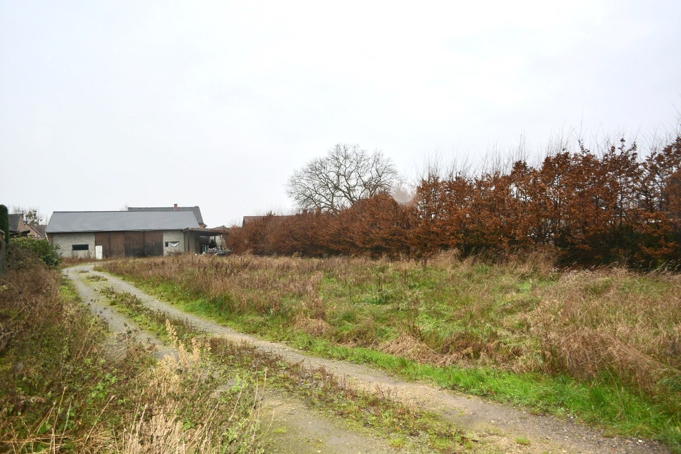 Hedendaagse woning met loods en bijgebouwen op 2.200 m² 