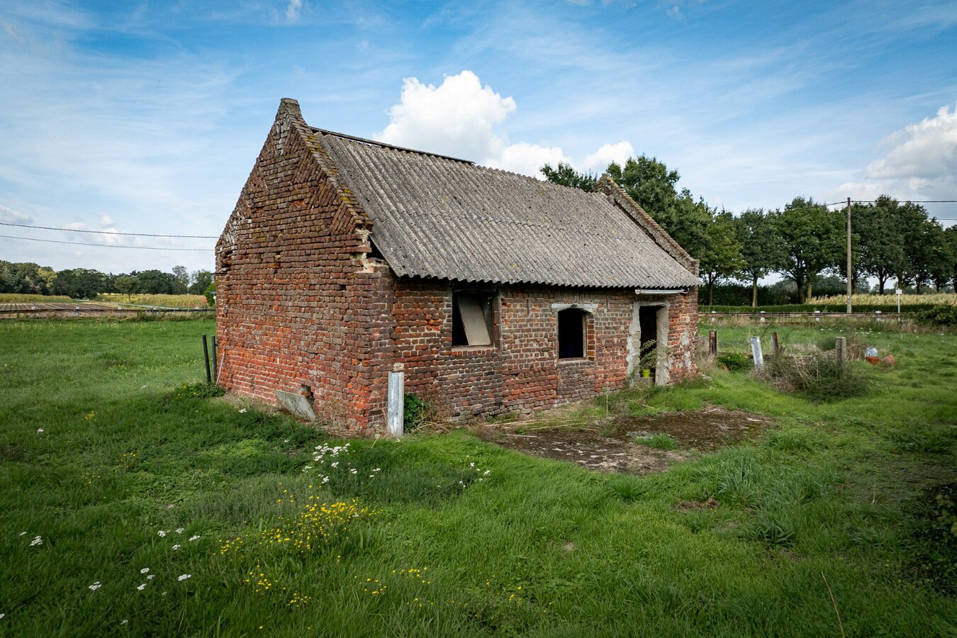 Hoeve met stalgebouwen op ca. 1ha te Bree 