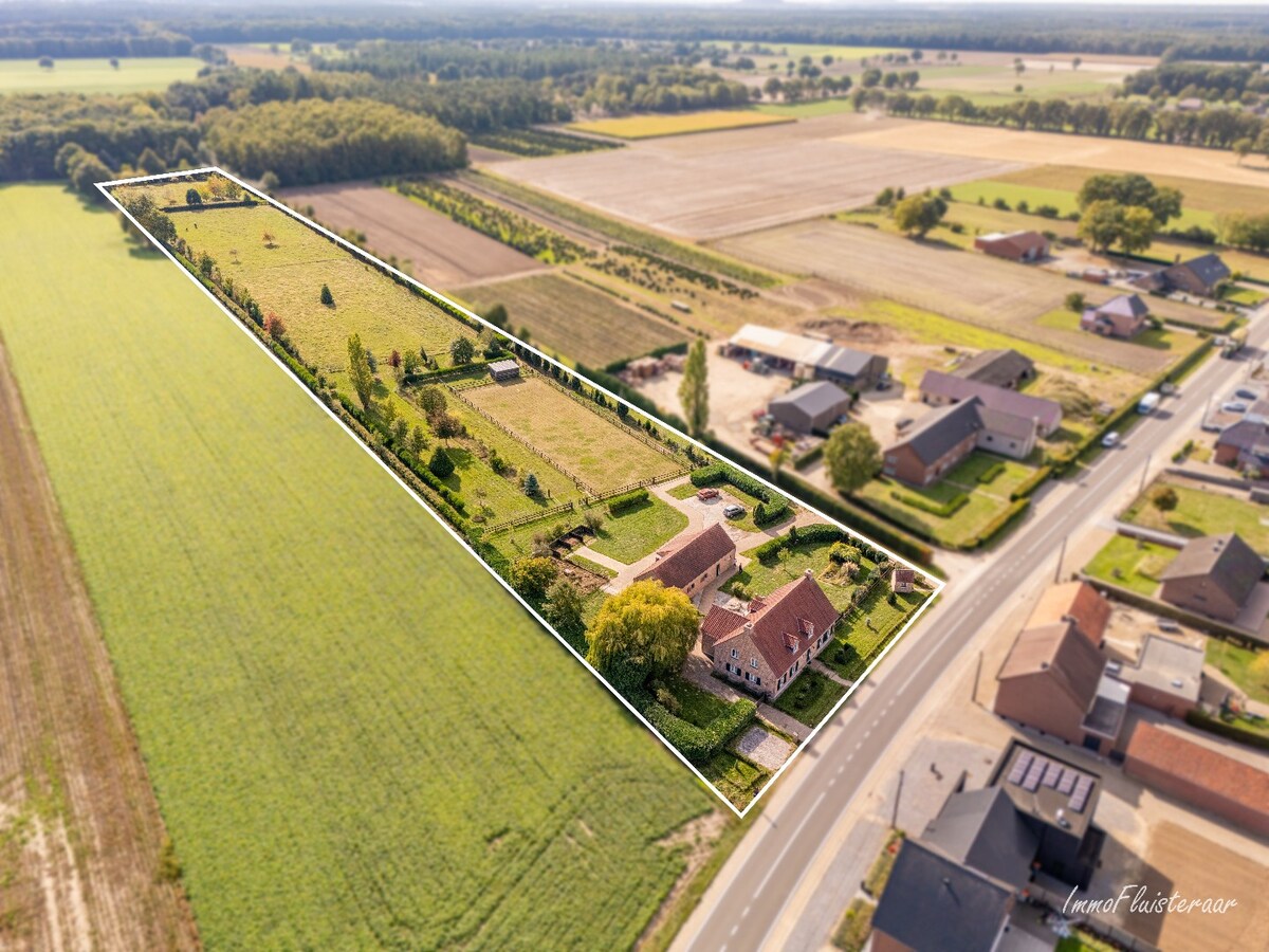 Instapklare hoeve met paardenfaciliteiten op ca. 2,5 ha te Gruitrode (Oudsbergen) 